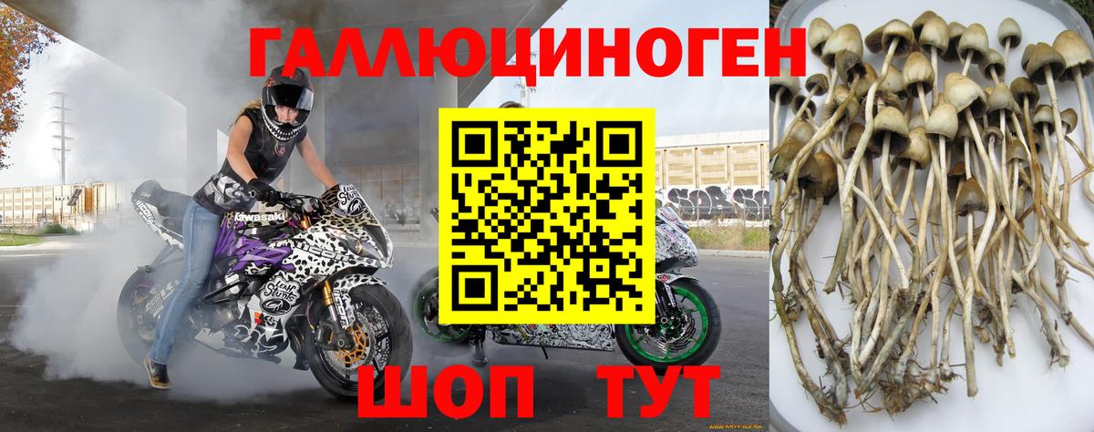 Псилоцибиновые грибы прущие грибы Новодвинск